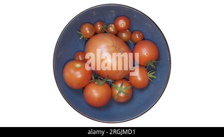 Reife Tomaten in einer Schale präsentiert Foto Stock