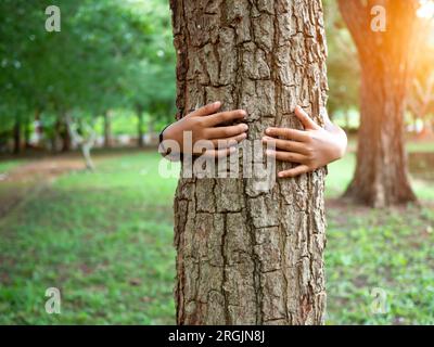 Le mani umane abbracciano un albero innamorato. Rappresentare contribuire a preservare l'ambiente. Concetto di salvare il mondo. Foto Stock