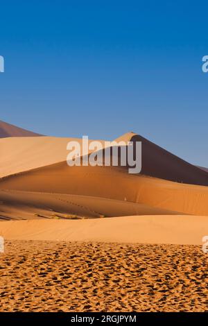 Persone che salgono Dune - Sossusvlei National Park - Namib-Naukluft National Park, Namibia, Africa Foto Stock
