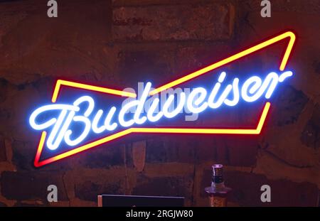 Cartello al neon Budweiser presso lo Star Inn, pub pluripremiato CAMRA, 17 Church St, Godalming, Surrey, Inghilterra, REGNO UNITO, GU7 1EL Foto Stock