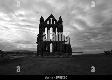 Whitby Abbey, il paesaggio sonoro drammatico Bram Stoker Dracula Foto Stock