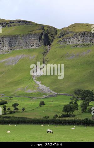 Pecore che pascolano nei verdi campi di pascoli agricoli ai piedi di King's Mountain, contea di Sligo, Irlanda Foto Stock