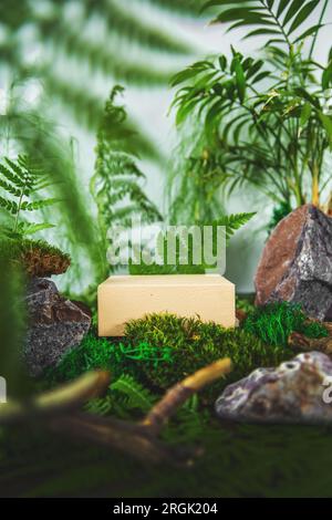 Podio beige geometrico nella foresta con felce e muschio. Vetrina vuota per la presentazione del prodotto. Sfondo naturale. Foto Stock