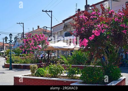 Kassandreia, Grecia - 8 giugno 2023: Penisola di Kassandra in Halkidiki, zona pedonale con una parte centrale verde e vari negozi, caffetterie e restaura Foto Stock