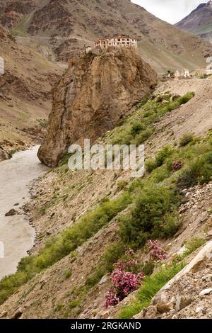 India, Ladakh, Zanskar, Bardan Dogpa/Kargyud, monastero della setta sopra il fiume Lungnak Chu Foto Stock