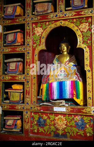 India, Ladakh, Zanskar, Karsha, monastero, Lhakang Prayer Hall, vecchi testi buddisti in gabinetto Foto Stock