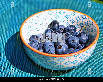 Ciotola di mirtilli appena raccolti Foto Stock