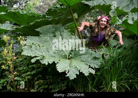 Edimburgo, Scozia, Regno Unito. 10 agosto 2023. Edinburgh Fringe: Fata avvistata nel Royal Botanic Garden di Edimburgo, la scrittrice e performer vincitore dell'Oscar Celeste Lecesne emerge dal sottobosco. Celeste ha scritto il cortometraggio Trevor che ha vinto un Oscar per il miglior cortometraggio Live Action. Mostra poof! Correre al pallone dorato Teviot. Credit Craig Brown/Alamy Live News Foto Stock