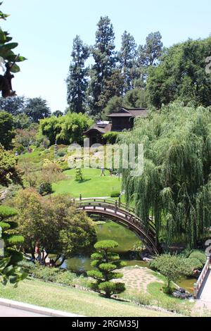 Moon Bridge, Japanese Garden, Huntington Gardens, San Marino, California Foto Stock