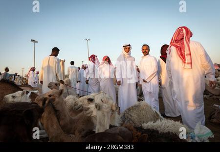 Buraydah, Arabia Saudita, 4 agosto 2023: Mercato dei cammelli nella città di Buraydah Foto Stock