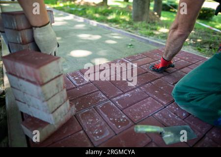 Un esperto lavoratore di pavimentazione si inginocchia durante la posa di pietre di pavimentazione. Foto Stock