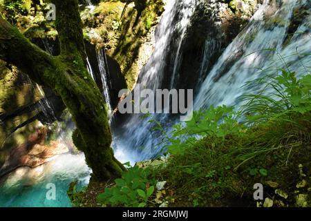 Cascata presso il boschetto d'acqua di Sunik a Lepena nelle alpi Giulie e nel parco nazionale del Triglav, Slovenia Foto Stock