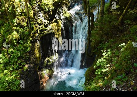 Cascata presso il boschetto d'acqua di Sunik a Lepena nelle alpi Giulie e nel parco nazionale del Triglav, Slovenia Foto Stock