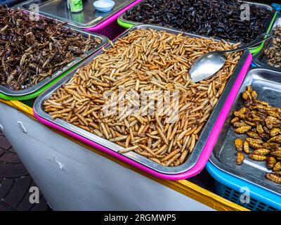 In un vivace mercato di strada a Bangkok, in Thailandia, troverai deliziose offerte di insetti e vermi commestibili. Foto Stock