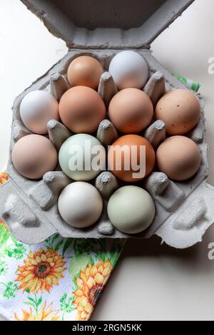 Allevamenti freschi e gratuiti, decine di uova di gallina arcobaleno biologiche esposte in un esclusivo contenitore ottagonale riciclabile Foto Stock