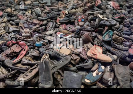 Reportage: Second Gentleman Douglas Emhoff Visit to Poland (2023) - le scarpe appartenenti alle vittime del campo di concentramento sono esposte, mentre il Second Gentleman Douglas Emhoff partecipa ad un tour, venerdì 27 gennaio 2023, presso il Museo Auschwitz-Birkenau di Oswiecim, Polonia. Foto Stock