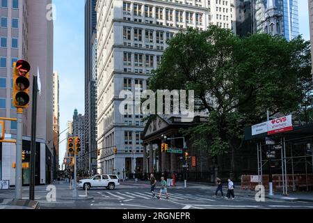 Dettaglio architettonico di Lower Manhattan, la parte più meridionale di Manhattan, quartiere centrale per gli affari, la cultura e il governo di New York Foto Stock