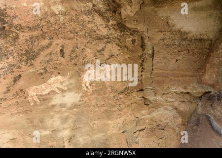 Immagini d'arte rupestre nella Injisuthi Battle Cave nella zona del Giants Castle nelle montagne Drakensberg in Sudafrica Foto Stock