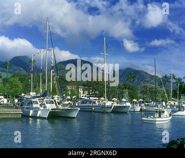 1994 HISTORIC YACHTS QUAY LAHAINA HARBOR MAUI HAWAII USA Foto Stock