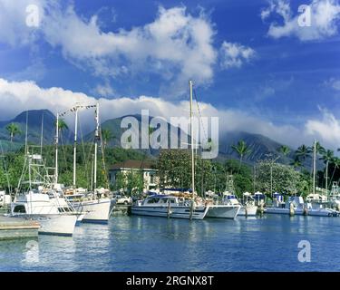 1994 HISTORIC YACHTS QUAY LAHAINA HARBOR MAUI HAWAII USA Foto Stock