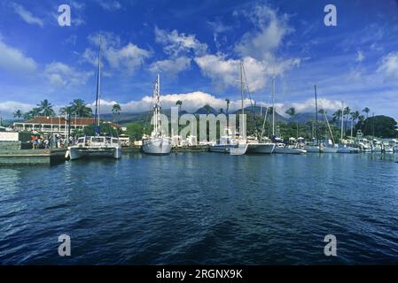 1994 HISTORIC YACHTS QUAY LAHAINA HARBOR MAUI HAWAII USA Foto Stock