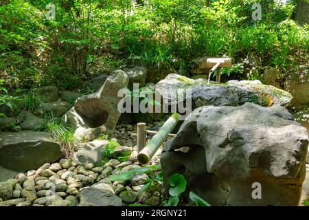 Una fontana giapponese di bambù Shishi-Odoshi nel giardino zen Foto Stock