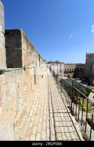 Cammina in cima alle mura della città vecchia. La Cittadella, la città vecchia di Gerusalemme, Israele. Foto Stock