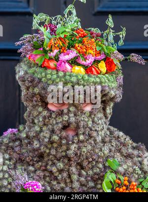 South Queensferry, Scozia. 11 agosto 2023. Il Burryman o Burry Man è un'antica tradizione un uomo coperto di burrs viene sfilato attraverso la città di South Queensferry, vicino a Edimburgo per oltre nove ore. La tradizione vuole che porti fortuna in città se gli danno whisky e denaro, e che la sfortuna si produrrà se l'usanza viene interrotta. © Richard Newton / Alamy Live News Foto Stock