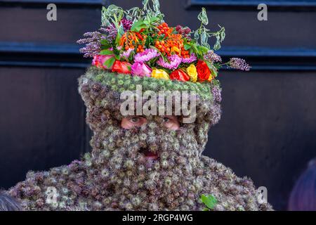 South Queensferry, Scozia. 11 agosto 2023. Il Burryman o Burry Man è un'antica tradizione un uomo coperto di burrs viene sfilato attraverso la città di South Queensferry, vicino a Edimburgo per oltre nove ore. La tradizione vuole che porti fortuna in città se gli danno whisky e denaro, e che la sfortuna si produrrà se l'usanza viene interrotta. © Richard Newton / Alamy Live News Foto Stock