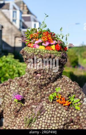 South Queensferry, Scozia. 11 agosto 2023. Il Burryman o Burry Man è un'antica tradizione un uomo coperto di burrs viene sfilato attraverso la città di South Queensferry, vicino a Edimburgo per oltre nove ore. La tradizione vuole che porti fortuna in città se gli danno whisky e denaro, e che la sfortuna si produrrà se l'usanza viene interrotta. © Richard Newton / Alamy Live News Foto Stock