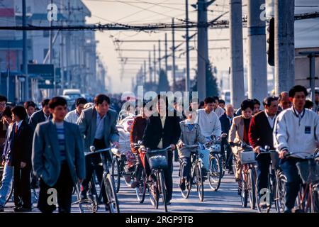 Biciclette e ciclisti all'incrocio stradale, Pechino, Cina Foto Stock