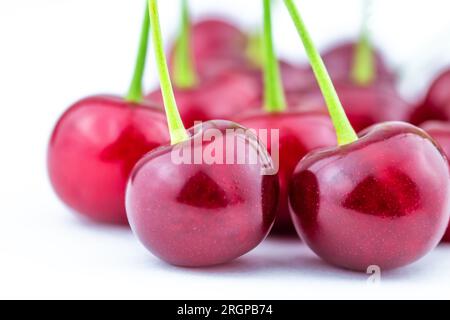 Primo piano di ciliegie appena raccolte Foto Stock