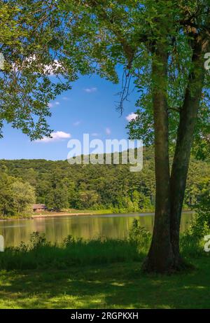 Albero che si affaccia sul lago o' the Dalles con una spiaggia per nuotare sullo sfondo, nell'Interstate State Park di St. Croix Falls, Wisconsin USA. Foto Stock