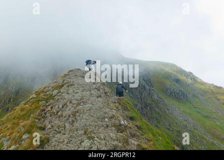 Escursionisti su Striding Edge, monte Helvellyn, Cumbria Foto Stock