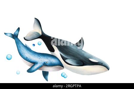 Composizione acquerello con balena blu e balena assassina isolate su sfondo bianco. Dipingere a mano realistico modello artico e antartico con l'oceano Foto Stock