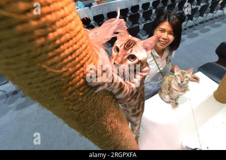 Bangkok, Thailandia. 10 agosto 2023. I gatti animali domestici sono visti durante un PET expo a Bangkok, Thailandia, 10 agosto 2023. Crediti: Rachen Sageamsak/Xinhua/Alamy Live News Foto Stock