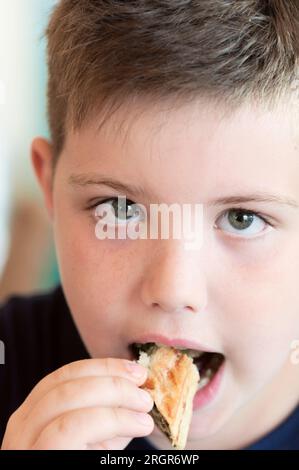 Young Boy Eating Vegetable Pie Foto Stock