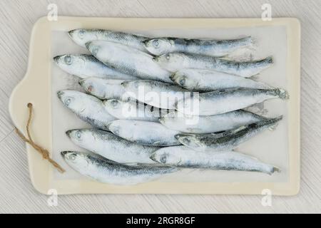 Smelt grezzo su sfondo bianco. Pronti a cucinare. Pesce ghiacciato. Foto Stock