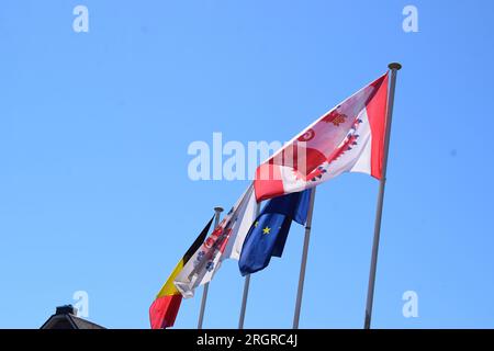 sventolando bandiere davanti al cielo blu Foto Stock