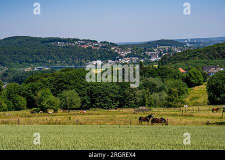 Pascolo con cavalli, sopra la Ruhr vicino a Wengern, distretto di Wetter an der Ruhr, nel distretto di Ennepe-Ruhr, vista sulla città di Wetter, NRW, tedesco Foto Stock