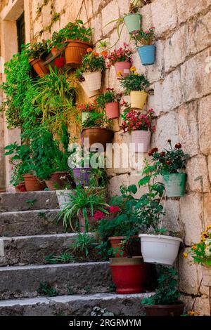 Fiori in pentole sospesi da un antico muro di pietra ai raggi di un elefante in visita. Bellissime aiuole multicolore con fiori decorativi. Foto Stock