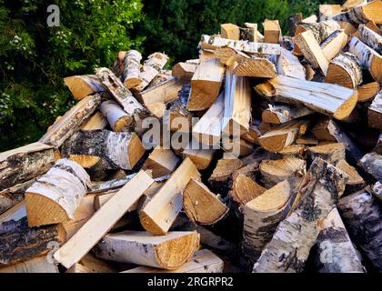 Betulla ha tagliato la legna da ardere impilata in una pila. Primo piano, schema, sfondo verde della boccola Foto Stock