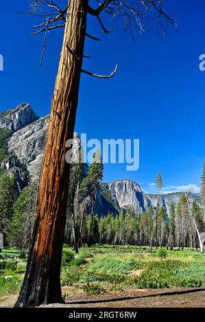 Splendido panorama della Yosemite Valley, California, Stati Uniti Foto Stock