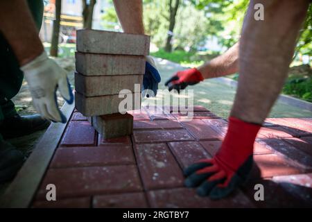 Un lavoratore inserisce le pietre di pavimentazione e l'altro le poggia in modo uniforme e preciso. Foto Stock