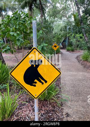 Un tipico cartello stradale giallo australiano che avverte l'attraversamento dei koala, con un cartello di avvertimento per i canguri sullo sfondo, a Magnetic Island, Queensland Foto Stock