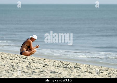 Woman esamina i dati del surf allo Zap Pro/AM Championships of Skimboarding, 11 agosto 2023, Dewey Beach, Delaware USA. Foto Stock