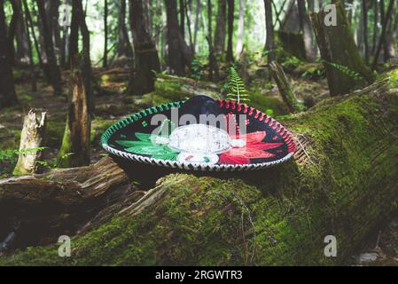 Cappello Mariachi sul tronco dell'albero caduto che marcisce e ricoperto di muschio e felci nella foresta. Contesto. Foto Stock