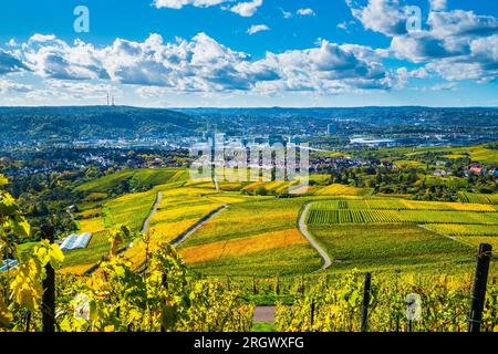 Germania, skyline industriale di Stoccarda, vigneti della città, vista panoramica dell'arena, stagione autunnale sopra i tetti, case in una calda luce del tramonto Foto Stock