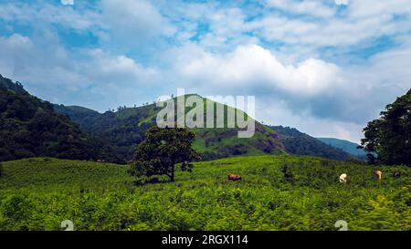 Viaggiando verso il punto panoramico della collina Parunthumpara. Parunthumpara è un villaggio nello stato indiano del distretto di Idukki del Kerala. Foto Stock