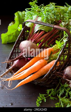 carote e barbabietole fresche e biologiche in un cestino Foto Stock